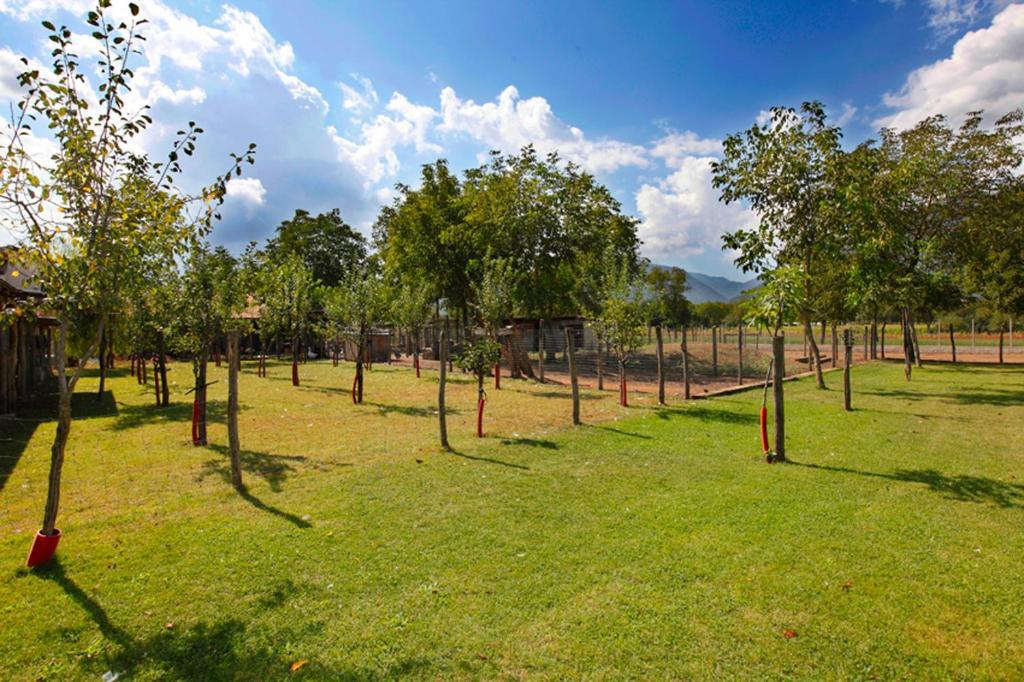 Azienda Agrituristica Pericle Montella Eksteriør bilde