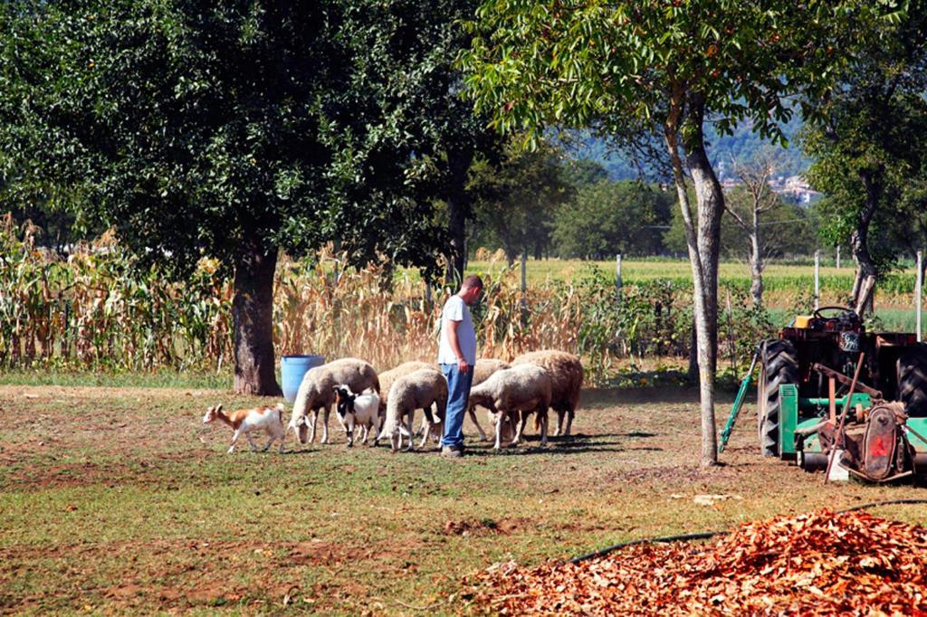 Azienda Agrituristica Pericle Montella Eksteriør bilde